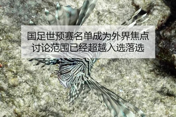 guo-zu-shi-yu-sai-ming-dan-cheng-wei-wai-jie-jiao-dian-tao-lun-fan-wei-yi-jing-chao-yue-ru-xuan-luo-xuan-2-463.jpg